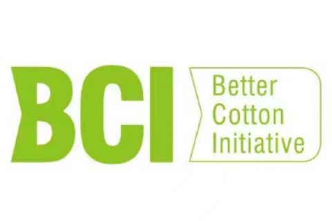 BCI認證咨詢